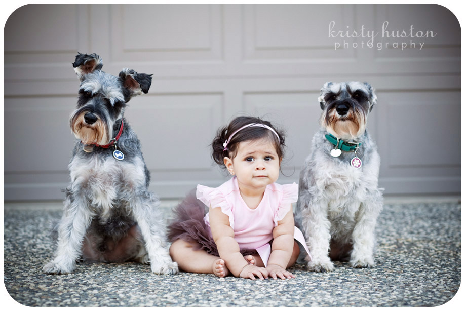 baby_with_dogs_photo