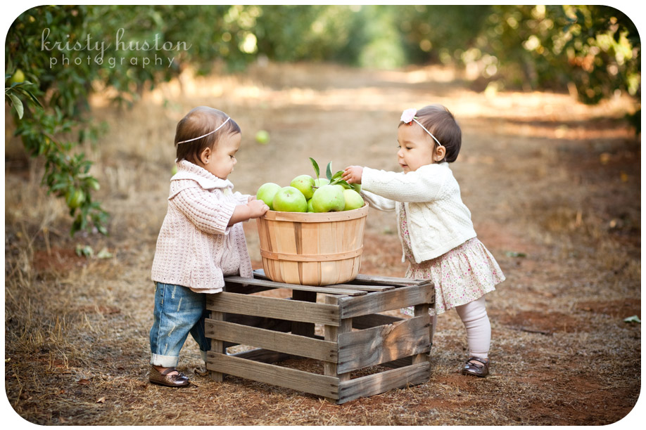 apple_hill_CA_twin_photography