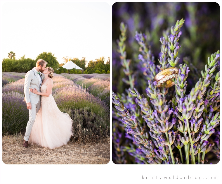 lavender_farm_wedding_midsummer_night_0084.jpg