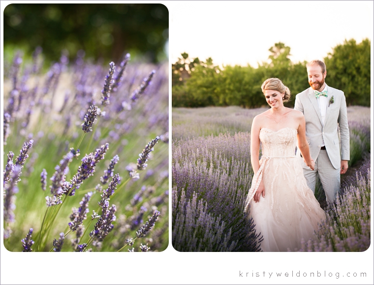 lavender_farm_wedding_winters_CA_0032.jpg